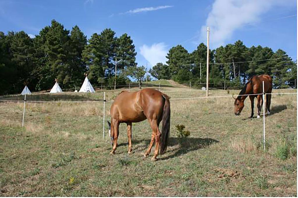 Agriturismo Podere La Fornace Cavriglia Luaran gambar
